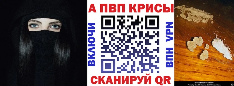 Альфа ПВП СК КРИС  Череповец 