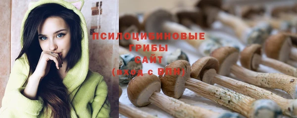 mix Алексин