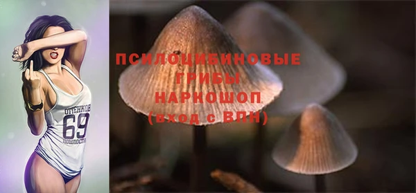 mix Алексин