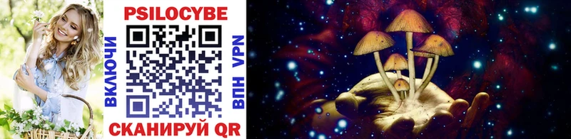 блэк спрут как войти  Череповец  Псилоцибиновые грибы Magic Shrooms 
